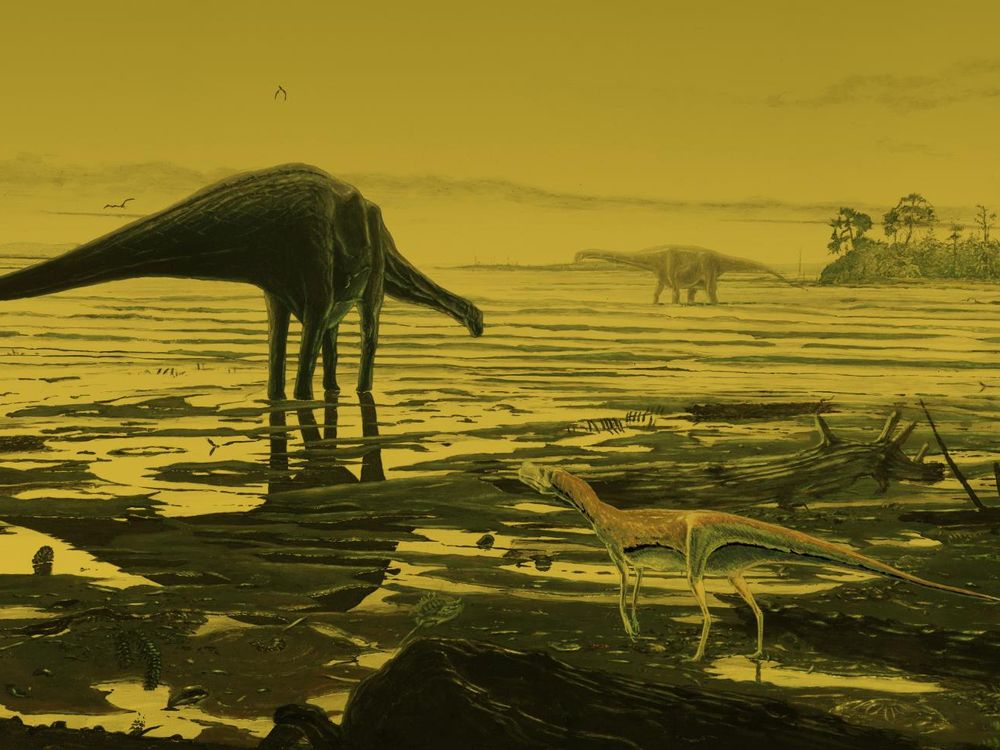 scottish sauropod