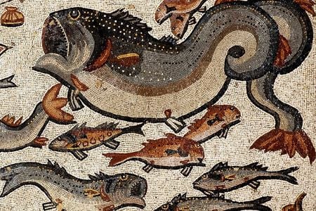 This mosaic featuring fish was likely laid down in A.D. 300 in what is now the Israeli town of Lod.