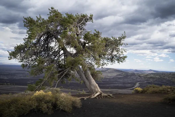 View from the Inferno Cone, Craters of the Moon National Park thumbnail