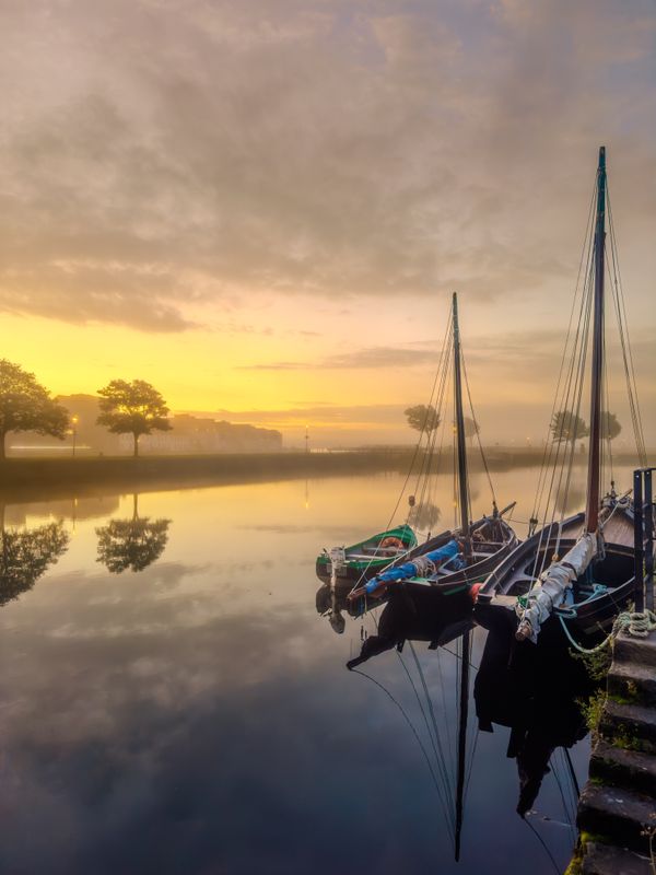 Foggy Morning thumbnail