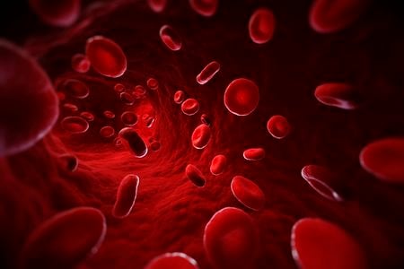 Computer illustration of red blood cells in a blood vessel.