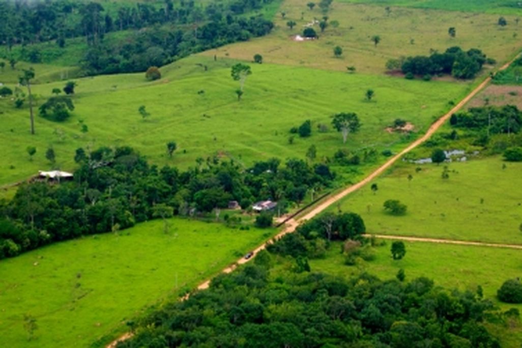 Large swaths of Brazil’s Amazon have been wiped out, but deforestation there is starting to slow.