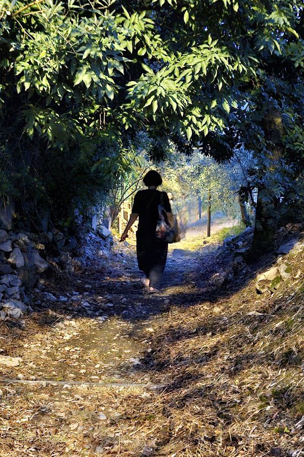 A Tuscan Summer Night Passage thumbnail