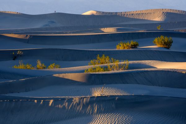 Death Valley visitor thumbnail