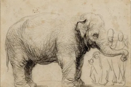Rembrandt created this sketch of Hansken, an Asian elephant brought to Europe from Sri Lanka, in 1637.