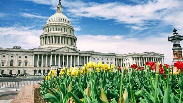 U.S. Capitol Grounds in Spring thumbnail
