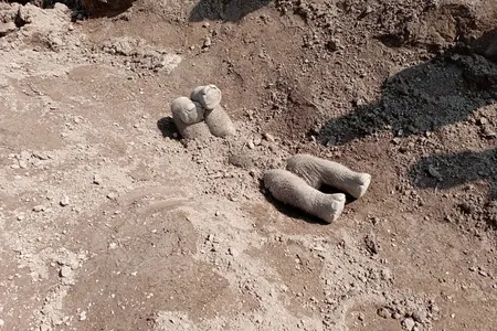 Asian elephants were observed burying calves between 3 months and 1 year old that had died after experiencing infections and malnutrition.