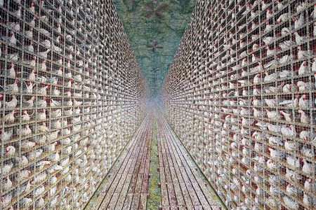 For Minneapolis art lovers, this huge painting needs no introduction—or title. 