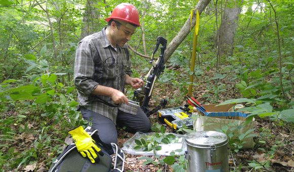 Uzay Sezen, wearing a red hard hat, kneels in a forest with a crossbow on his left and a sample of green leaves in front of him