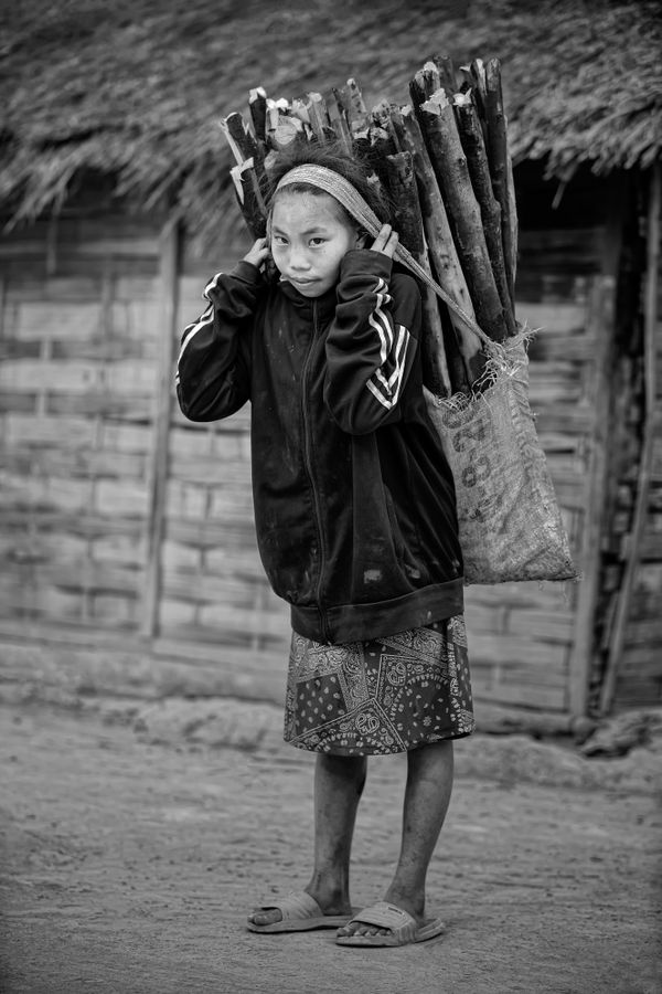 A young Khmu girl carry firewood thumbnail