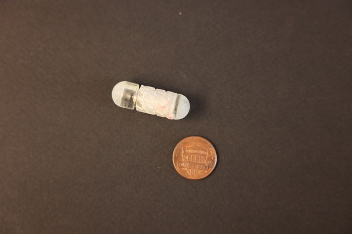 Pill appears just larger than a penny