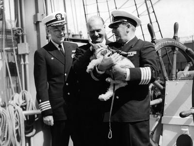 A dog mascot named Whisky in the arms of his captain Wolfgang Erhart on board a German ship in the harbor of New York in 1962 