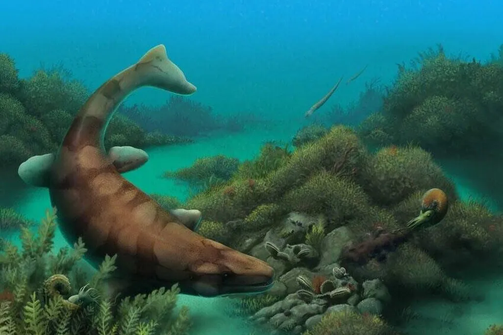 Illustration of lizard-like creature swimming under water