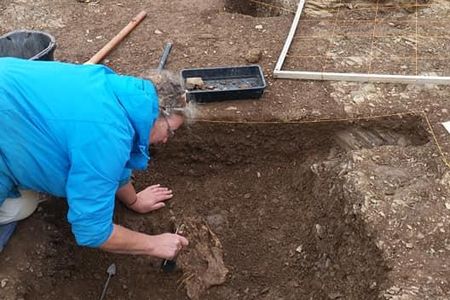 A cow skull being unearthed at the Ipplepen site.