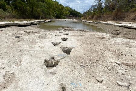 Drought conditions caused Dinosaur Valley State Park's Paluxy River to dry up, revealing tracks not usually visible.&nbsp;
