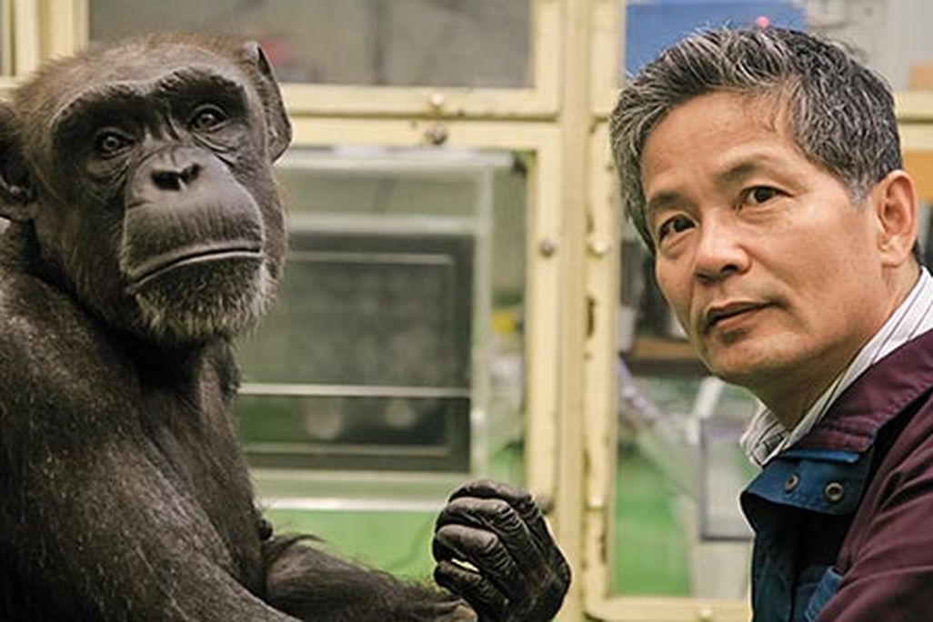 Tetsuro Matsuzawa and Ai
