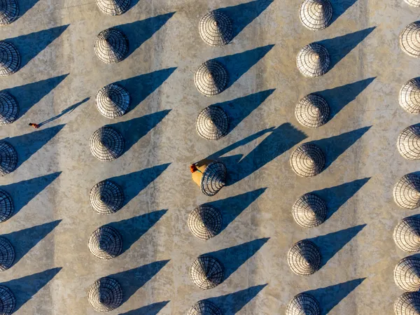 Tradition in the Last Light thumbnail