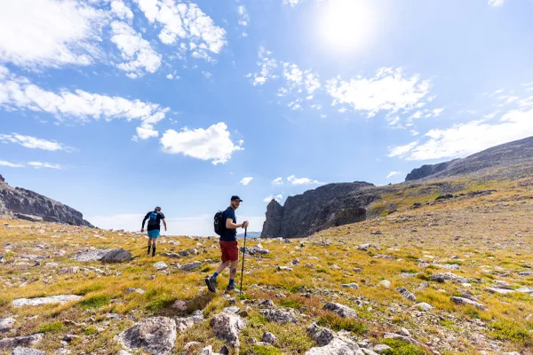 A walk in the tundra thumbnail