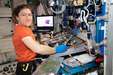 NASA astronaut Christina Koch conducts botany research aboard the International Space Station, where she’s been living and working since March 14, 2019. Her mission has been extended, and she will remain at the station until February 2020.