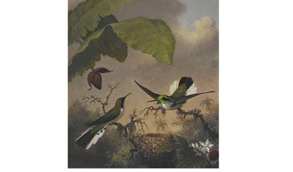 Martin Johnson Heade, Black-eared Fairy, ca. 1863-1864, oil on canvas, 12 1/4 x 10 in. Crystal Bridges Museum of American Art, Bentonville, Arkansas, 2006.89. Photography by Dwight Primiano.