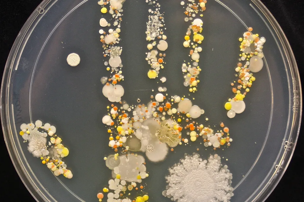 microbe handprint