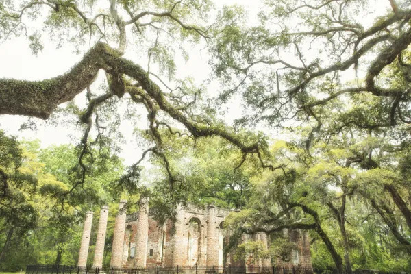 Old Sheldon Church in South Carolina thumbnail