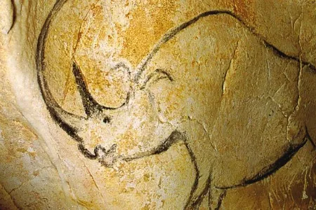 Someone painted this rhinoceros on a wall in France's Chauvet Cave about 30,000 years ago.