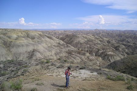 Montana