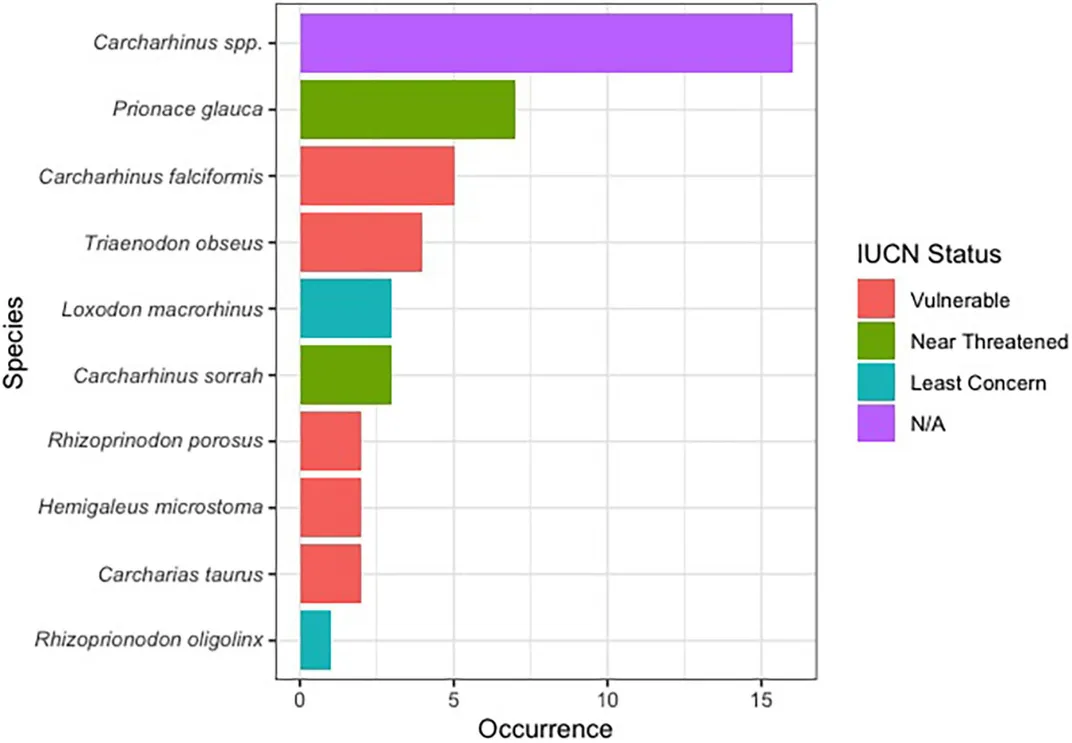 Bar plot showing the proportion of shark species identified in this work along with their IUCN red list status