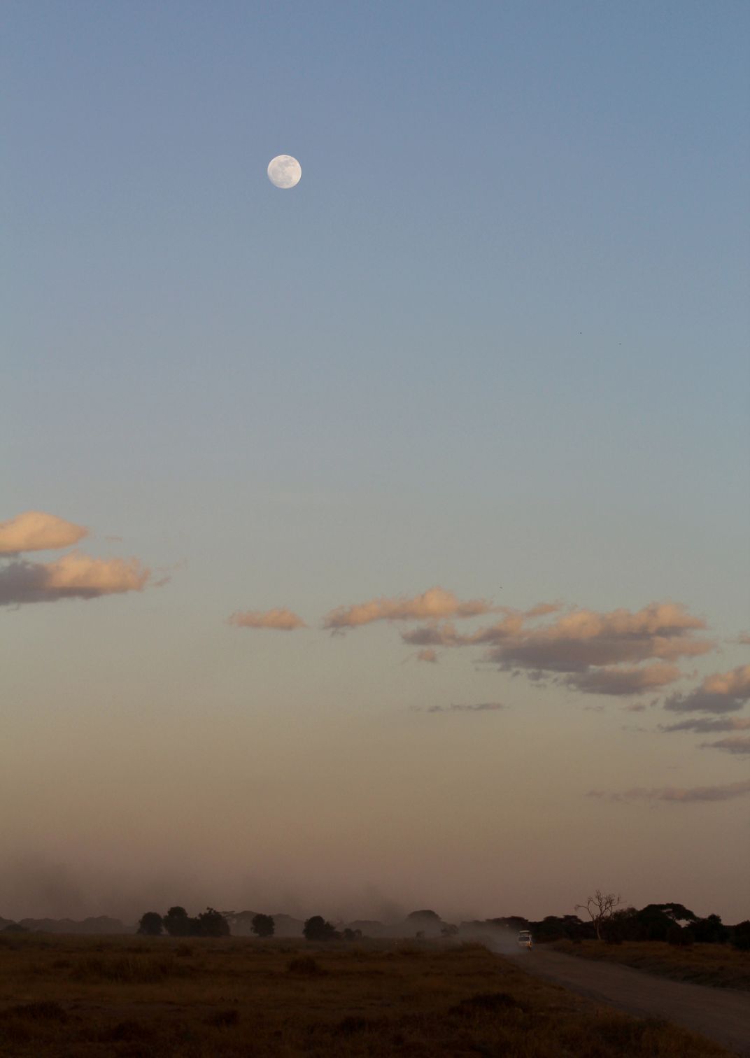 Full moon while on Safari in Kenya | Smithsonian Photo Contest ...