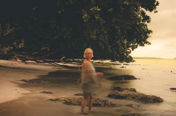 The Butterfly thumbnail