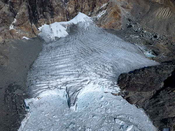 The Dying Giant || 3 thumbnail