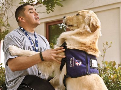 Robert Soliz, a 31-year-old former Army Specialist, participates in Paws for Purple Hearts, one of four experimental programs nationwide that pair veterans afflicted by PTSD with Labrador and golden retrievers.