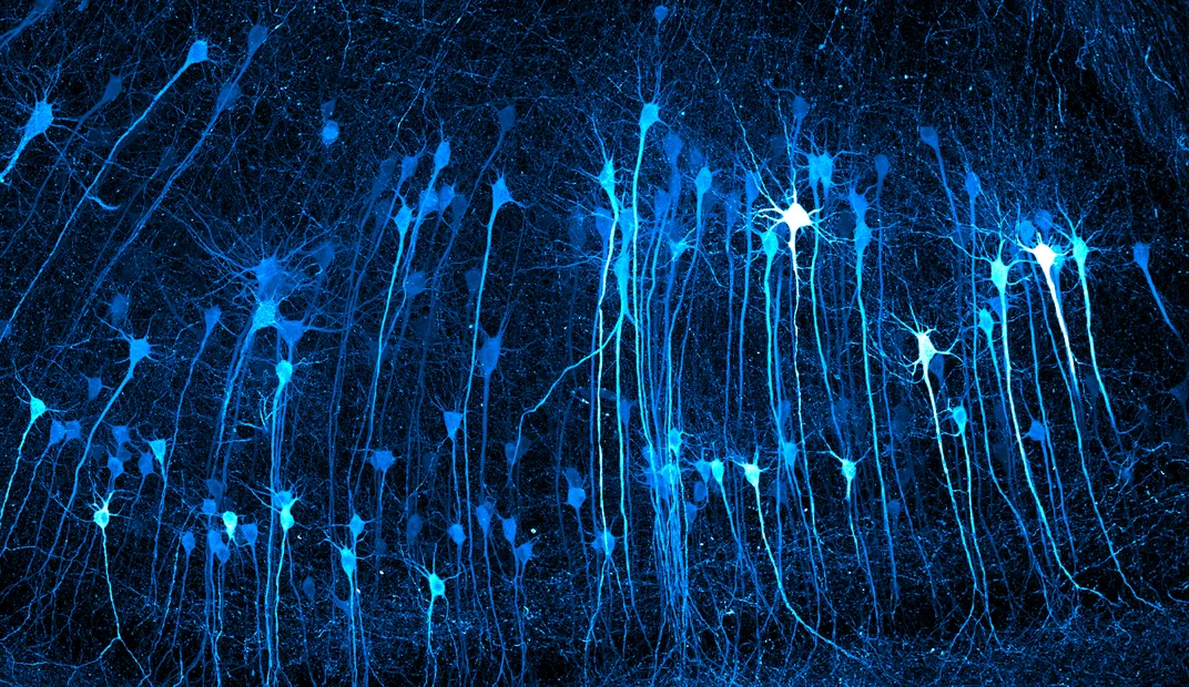 See the Scientific and the Mundane Become Surprisingly Dazzling When ...