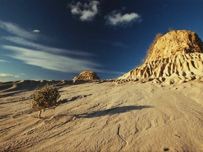 The ancient remains of 108 Aboriginal individuals were exhumed from the Lake Mungo and Willandra Lakes region between 1960 and 1980.