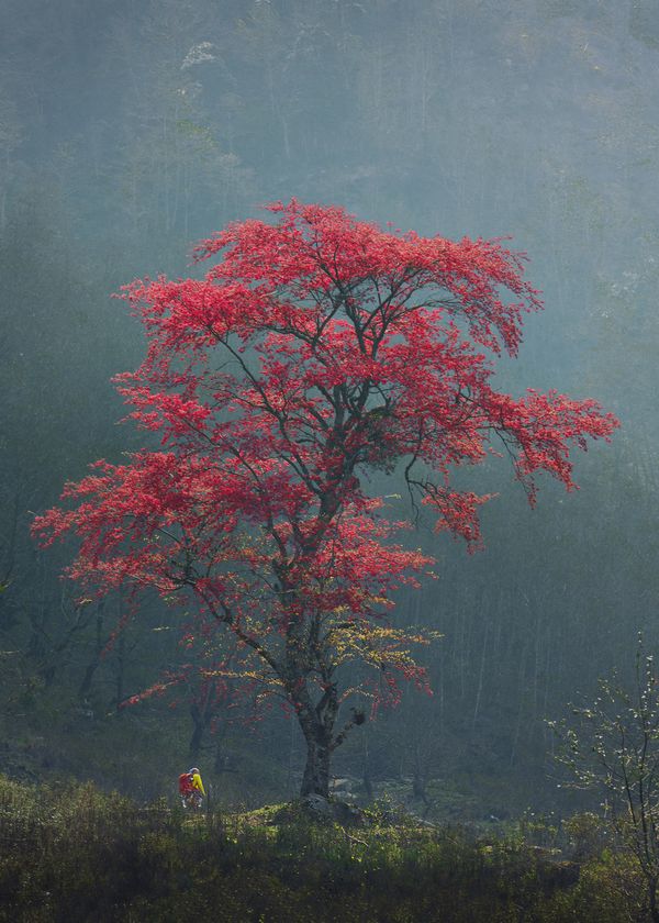 Not lonely thumbnail