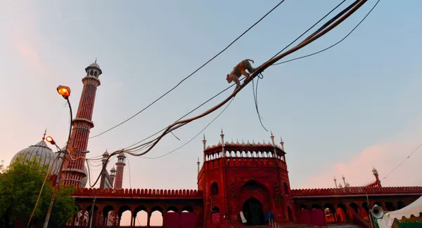 Jama Masjid – Delhi thumbnail