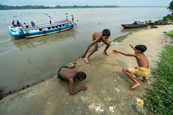 Life Along the Waterline thumbnail