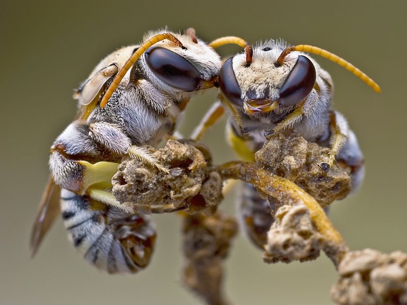 It was late afternoon here in Saudi Arabia when I decided to go out and