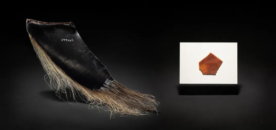 baleen and plastic shard