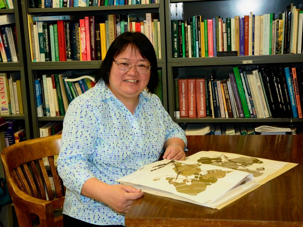 Jun Wen sits at a wooden table in front of a bookshelf examining a herbarium booklet of pressed plant specimens.