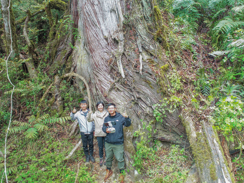 People standing next to very large tree base