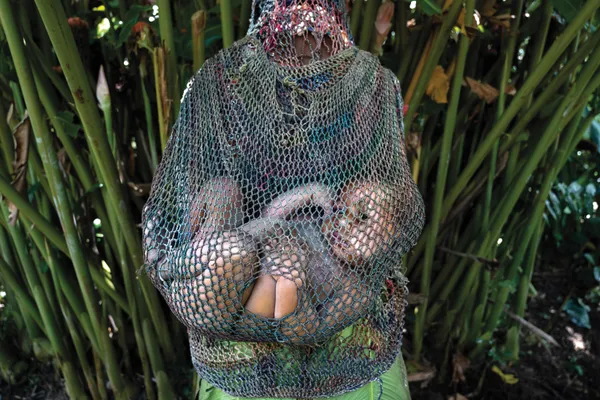 Carrying Life thumbnail