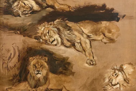 A section of Eug&egrave;ne Delacroix&#39;s&nbsp;Study of Reclining Lions
