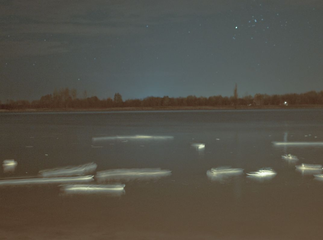 light ducks swimming at night Smithsonian Photo Contest Smithsonian