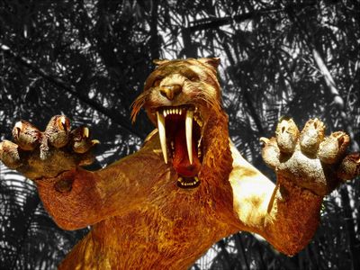 At least one species of saber-tooth cat likely kept its long canines inside its mouth, not outside, suggests new research.
