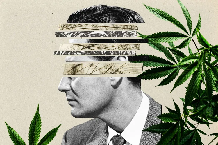 Scientists are currently studying whether cannabis use may cause schizophrenia.