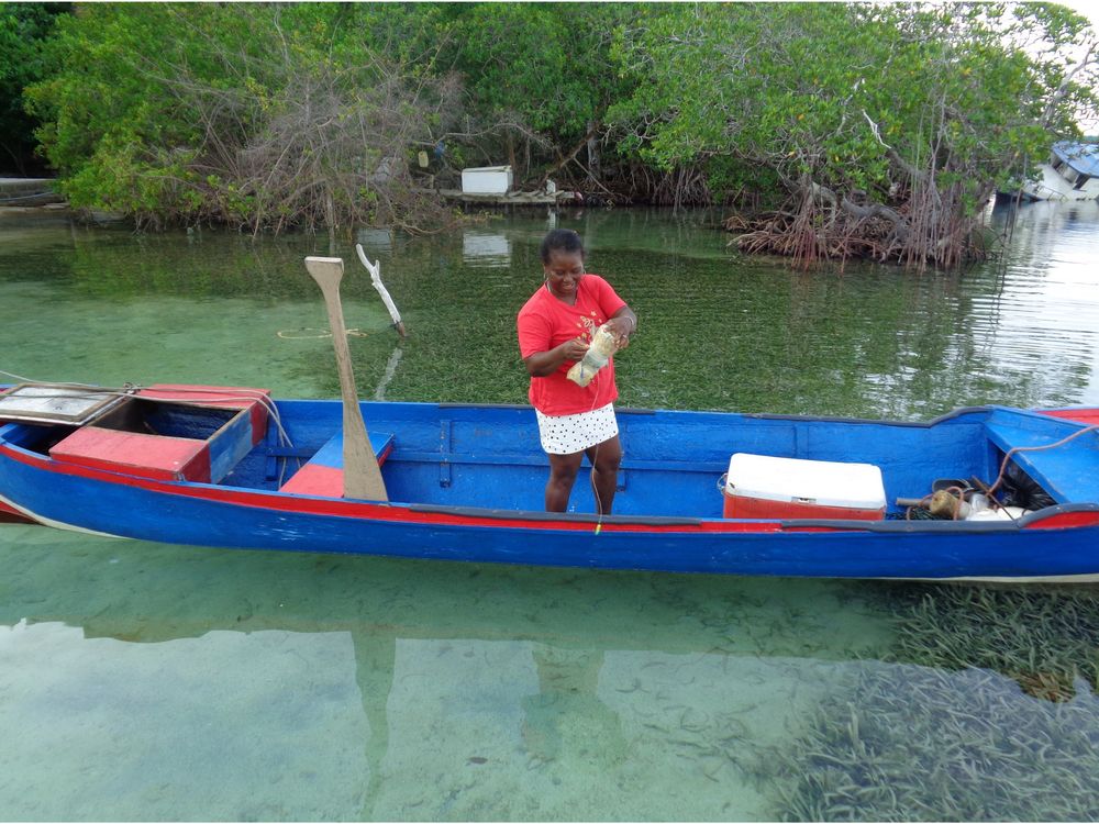 A woman in a red shirt stands on a wooden blue canoe beside a mangrove shoreline, unwinding a fishing net.