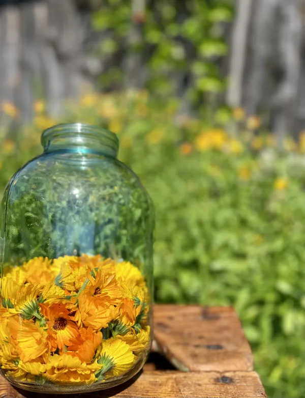 A jar of flowers in Estonia thumbnail