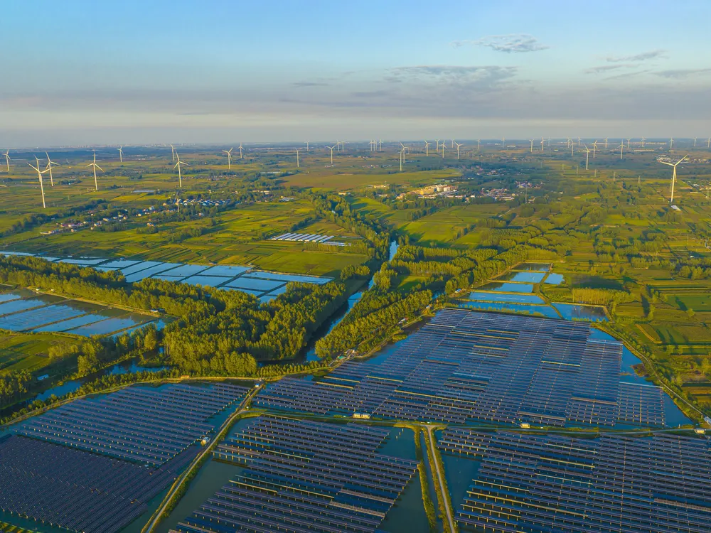 Solar panels and wind turbines stand among trees and other greenery in China's Jiangsu province.